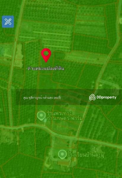 ขาย - ที่ดินเปล่า 4 ไร่ ที่ดิน ใกล้โรงเรียนบ้านละมุ จังหวัดชุมพร, ชุมพร