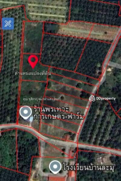 ขาย - ที่ดินเปล่า 4 ไร่ ที่ดิน ใกล้โรงเรียนบ้านละมุ จังหวัดชุมพร, ชุมพร