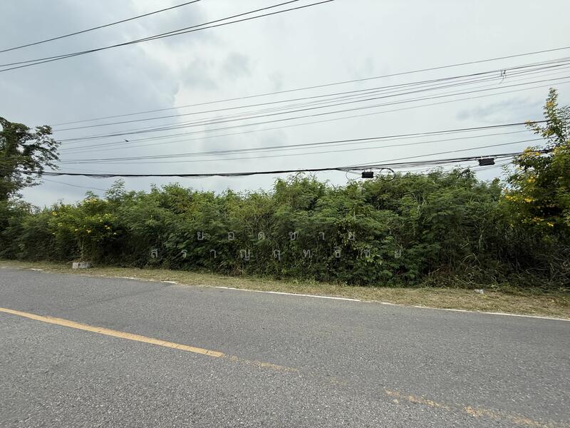 Land for Sale 16 Rai on Main Road, near Wat Luang Pho Sothon 72 mb, Chachoengsao, สิริโสธร, Sothon, Muang Chachoengsao, Chachoengsao, , 25,600 sqm, Land For Sale, by ยอดชาย สราญฤทธิชัย, 60176622 - DDproperty.com