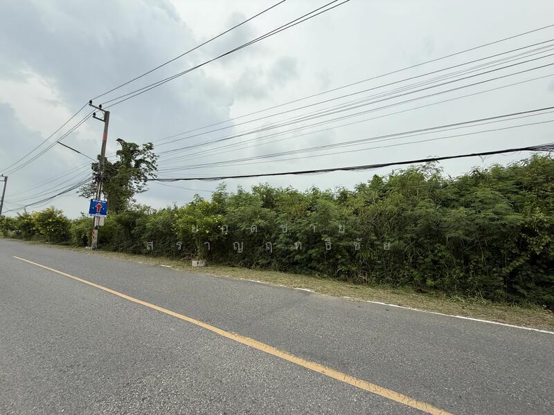 Land for Sale 16 Rai on Main Road, near Wat Luang Pho Sothon 72 mb, Chachoengsao, สิริโสธร, Sothon, Muang Chachoengsao, Chachoengsao, , 25,600 sqm, Land For Sale, by ยอดชาย สราญฤทธิชัย, 60176622 - DDproperty.com