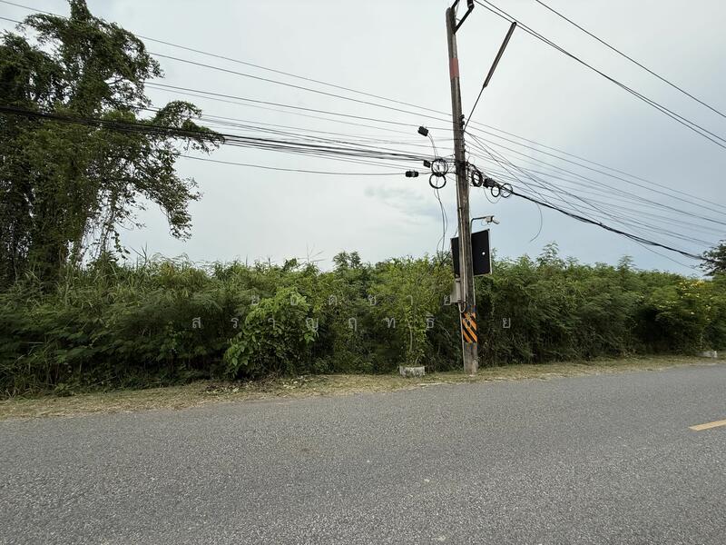 ขายที่ดิน 16 ไร่ ริมถนน ใกล้วัดหลวงพ่อโสธร 72 ล้านบาท, ฉะเชิงเทรา, สิริโสธร, โสธร, เมืองฉะเชิงเทรา, ฉะเชิงเทรา, 25,600 ตร.ม., ที่ดิน ขาย, โดย ยอดชาย สราญฤทธิชัย, 60176622 - DDproperty.com