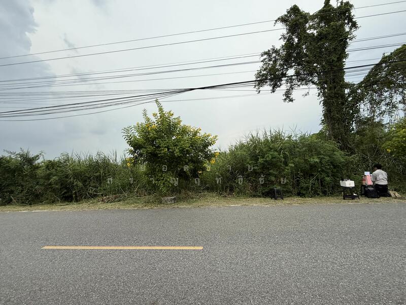 Land for Sale 16 Rai on Main Road, near Wat Luang Pho Sothon 72 mb, Chachoengsao, สิริโสธร, Sothon, Muang Chachoengsao, Chachoengsao, , 25,600 sqm, Land For Sale, by ยอดชาย สราญฤทธิชัย, 60176622 - DDproperty.com