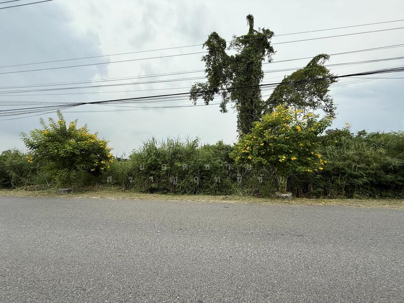 Land for Sale 16 Rai on Main Road, near Wat Luang Pho Sothon 72 mb, Chachoengsao, สิริโสธร, Sothon, Muang Chachoengsao, Chachoengsao, , 25,600 sqm, Land For Sale, by ยอดชาย สราญฤทธิชัย, 60176622 - DDproperty.com