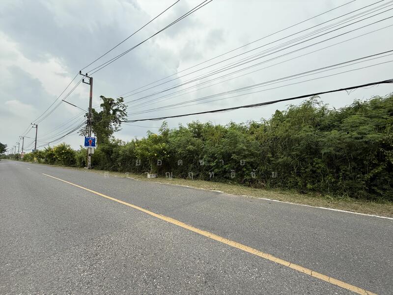 ขายที่ดิน 16 ไร่ ริมถนน ใกล้วัดหลวงพ่อโสธร 72 ล้านบาท, ฉะเชิงเทรา, สิริโสธร, โสธร, เมืองฉะเชิงเทรา, ฉะเชิงเทรา, 25,600 ตร.ม., ที่ดิน ขาย, โดย ยอดชาย สราญฤทธิชัย, 60176622 - DDproperty.com