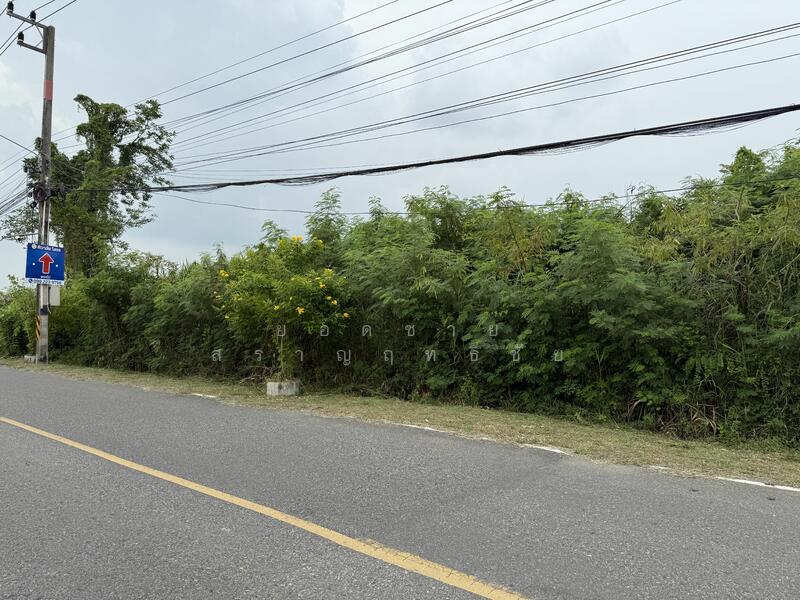 ขายที่ดิน 16 ไร่ ริมถนน ใกล้วัดหลวงพ่อโสธร 72 ล้านบาท, ฉะเชิงเทรา, สิริโสธร, โสธร, เมืองฉะเชิงเทรา, ฉะเชิงเทรา, 25,600 ตร.ม., ที่ดิน ขาย, โดย ยอดชาย สราญฤทธิชัย, 60176622 - DDproperty.com