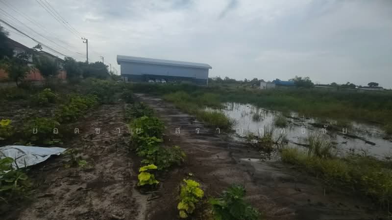ขายที่ดิน 16 ไร่ ริมถนน ใกล้วัดหลวงพ่อโสธร 72 ล้านบาท, ฉะเชิงเทรา, สิริโสธร, โสธร, เมืองฉะเชิงเทรา, ฉะเชิงเทรา, 25,600 ตร.ม., ที่ดิน ขาย, โดย ยอดชาย สราญฤทธิชัย, 60176622 - DDproperty.com