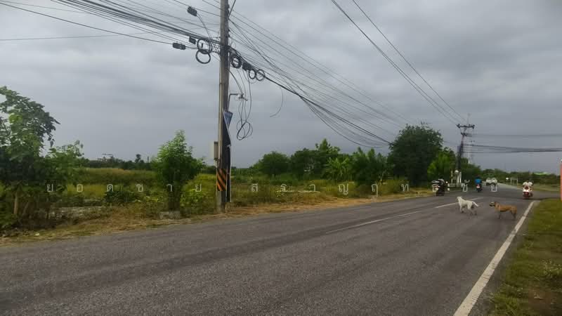 ขายที่ดิน 16 ไร่ ริมถนน ใกล้วัดหลวงพ่อโสธร 72 ล้านบาท, ฉะเชิงเทรา, สิริโสธร, โสธร, เมืองฉะเชิงเทรา, ฉะเชิงเทรา, 25,600 ตร.ม., ที่ดิน ขาย, โดย ยอดชาย สราญฤทธิชัย, 60176622 - DDproperty.com