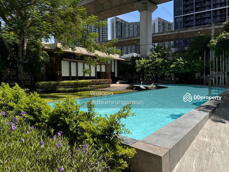 For Sale - The Base Garden Rama 9, Bangkok