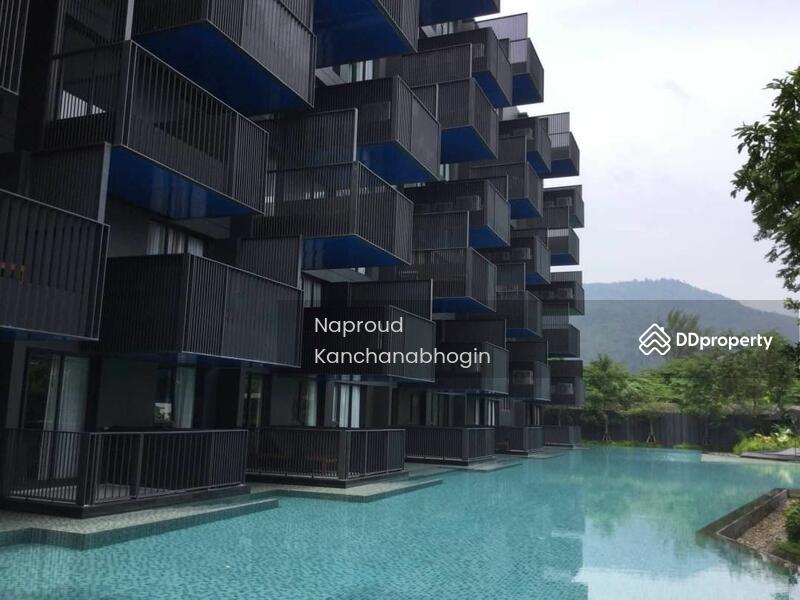 For Rent - The Deck Patong, Phuket