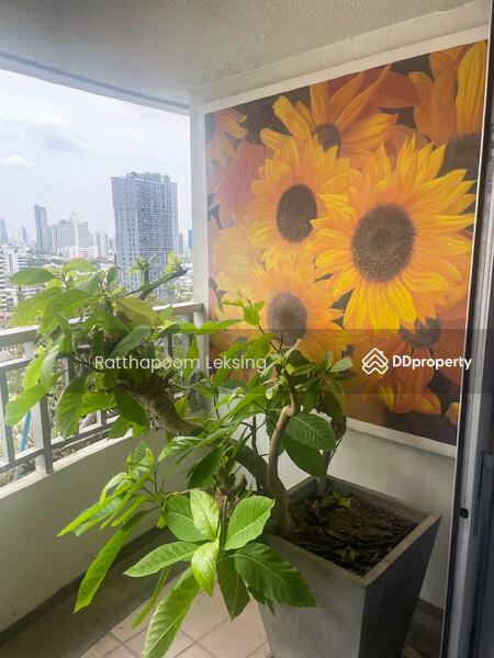 ขาย - Sathorn Park Place : สาธร พาร์ค เพลส, กรุงเทพ