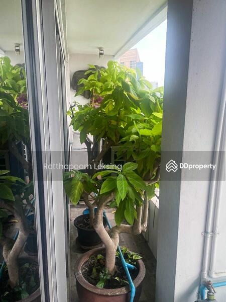 ขาย - Sathorn Park Place : สาธร พาร์ค เพลส, กรุงเทพ