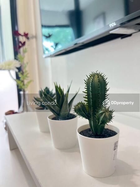 For Rent - iCondo Activ Phatthanakan, Bangkok