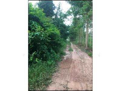 ขาย - ที่ดินโคกปี่ฆ้อง สระแก้ว, สระแก้ว