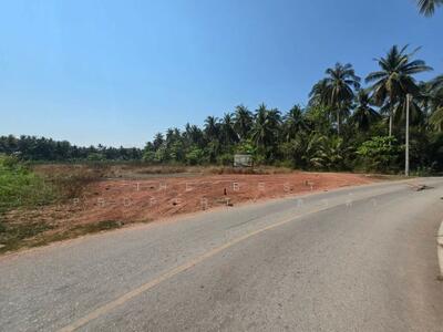 ขาย - ที่ดินอัมพวา สมุทรสงคราม, สมุทรสงคราม