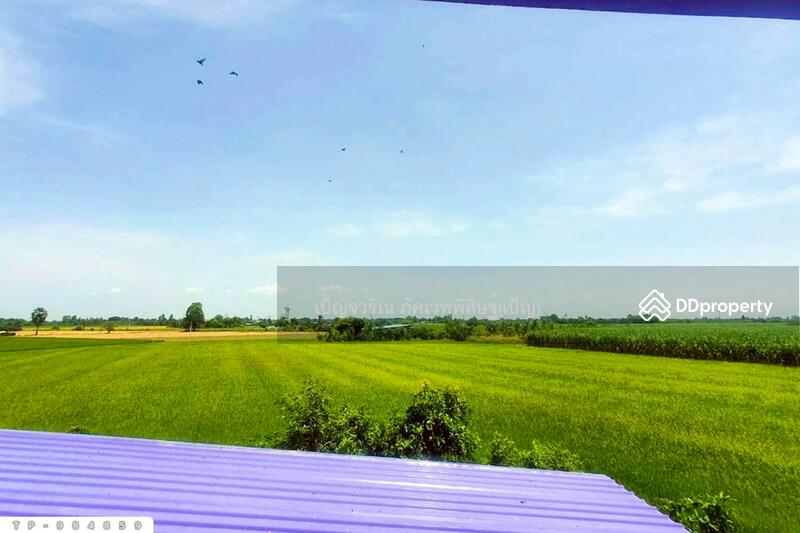 ขาย - TP-984859 ที่ดินพร้อมสิ่งปลูกสร้าง 1 ไร่ 60 ตร.ว. ศรีประจันต์ สุพรรณบุรี ใกล้โรงพยาบาลศรีประจันต์, สุพรรณบุรี