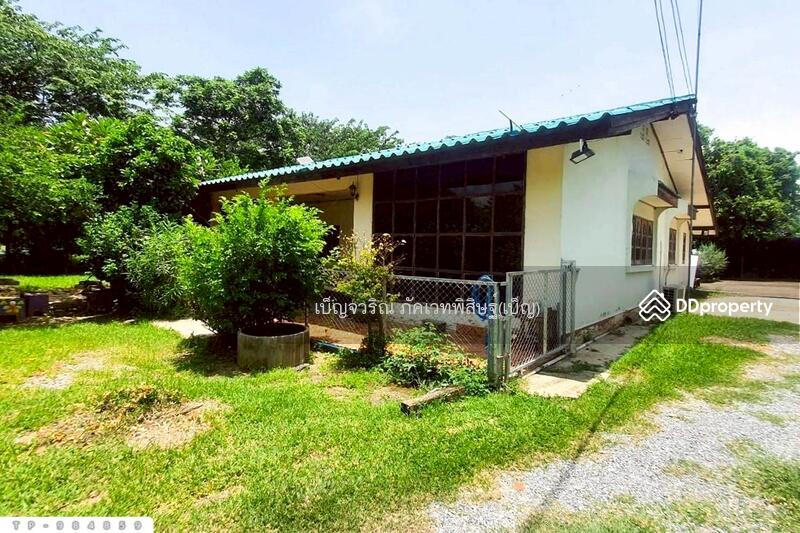 ขาย - TP-984859 ที่ดินพร้อมสิ่งปลูกสร้าง 1 ไร่ 60 ตร.ว. ศรีประจันต์ สุพรรณบุรี ใกล้โรงพยาบาลศรีประจันต์, สุพรรณบุรี