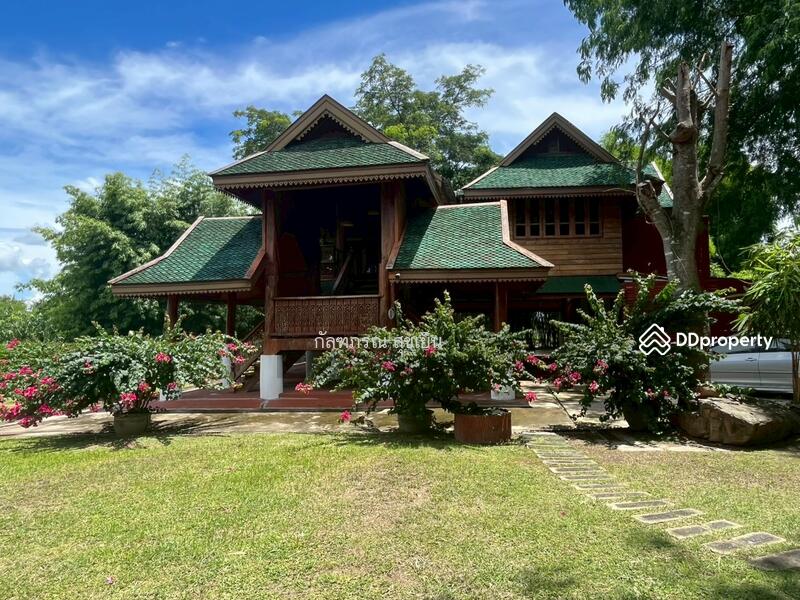 ขาย - ที่ดิน 58-1-60 ไร่ ปลูกไผ่ทอง พร้อมเรือนไม้สัก ต.หนองหญ้าปล้อง อ.หนองหญ้าปล้อง จ.เพชรบุรี, เพชรบุรี
