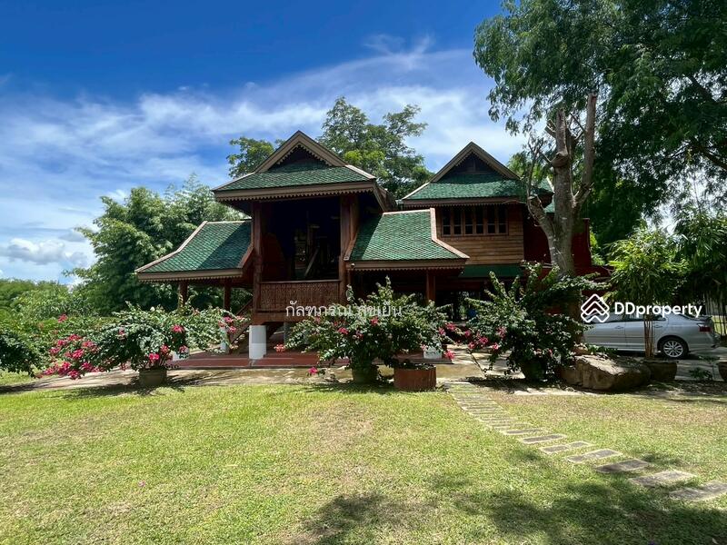 ขาย - ที่ดิน 58-1-60 ไร่ ปลูกไผ่ทอง พร้อมเรือนไม้สัก ต.หนองหญ้าปล้อง อ.หนองหญ้าปล้อง จ.เพชรบุรี, เพชรบุรี