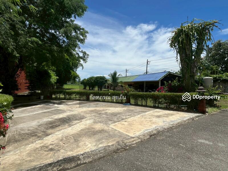 ขาย - ที่ดิน 58-1-60 ไร่ ปลูกไผ่ทอง พร้อมเรือนไม้สัก ต.หนองหญ้าปล้อง อ.หนองหญ้าปล้อง จ.เพชรบุรี, เพชรบุรี