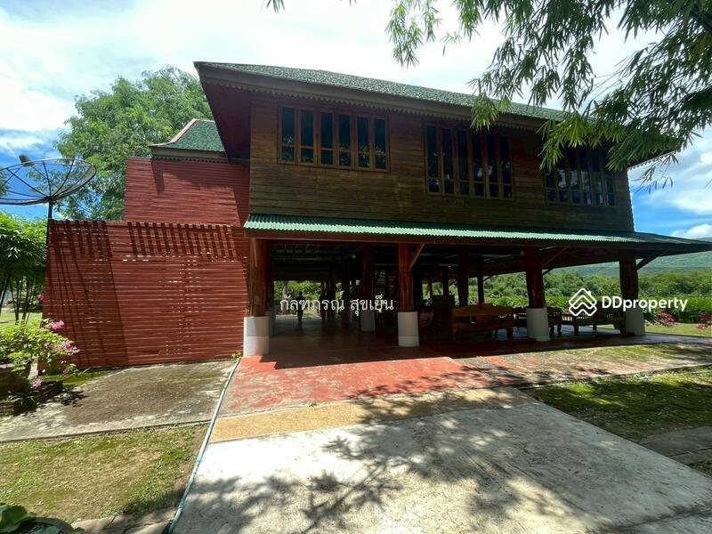 ขาย - ที่ดิน 58-1-60 ไร่ ปลูกไผ่ทอง พร้อมเรือนไม้สัก ต.หนองหญ้าปล้อง อ.หนองหญ้าปล้อง จ.เพชรบุรี, เพชรบุรี