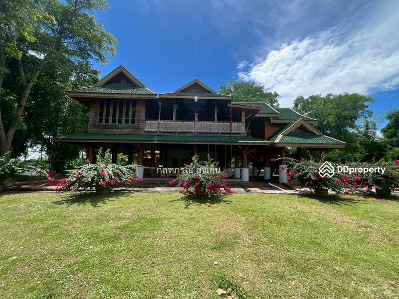 ขาย - ที่ดิน 58-1-60 ไร่ ปลูกไผ่ทอง พร้อมเรือนไม้สัก ต.หนองหญ้าปล้อง อ.หนองหญ้าปล้อง จ.เพชรบุรี, เพชรบุรี