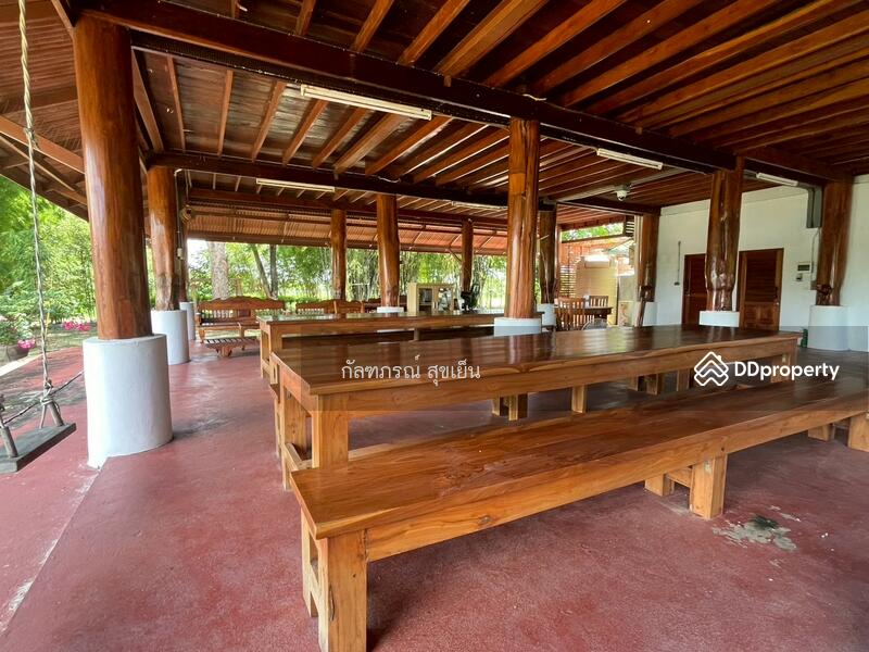 ขาย - ที่ดิน 58-1-60 ไร่ ปลูกไผ่ทอง พร้อมเรือนไม้สัก ต.หนองหญ้าปล้อง อ.หนองหญ้าปล้อง จ.เพชรบุรี, เพชรบุรี