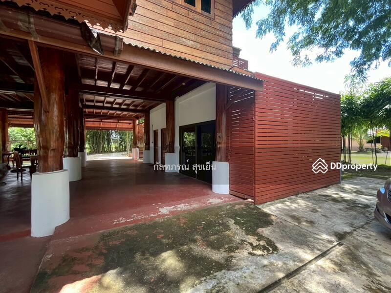 ขาย - ที่ดิน 58-1-60 ไร่ ปลูกไผ่ทอง พร้อมเรือนไม้สัก ต.หนองหญ้าปล้อง อ.หนองหญ้าปล้อง จ.เพชรบุรี, เพชรบุรี