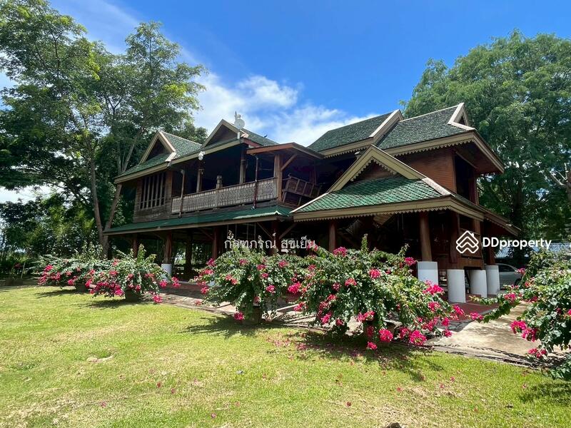 ขาย - ที่ดิน 58-1-60 ไร่ ปลูกไผ่ทอง พร้อมเรือนไม้สัก ต.หนองหญ้าปล้อง อ.หนองหญ้าปล้อง จ.เพชรบุรี, เพชรบุรี