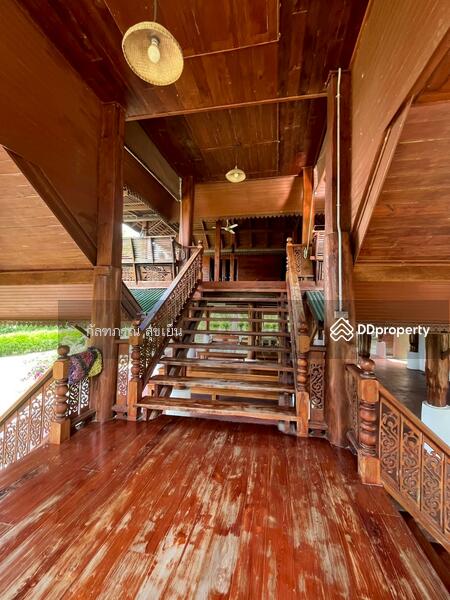 ขาย - ที่ดิน 58-1-60 ไร่ ปลูกไผ่ทอง พร้อมเรือนไม้สัก ต.หนองหญ้าปล้อง อ.หนองหญ้าปล้อง จ.เพชรบุรี, เพชรบุรี