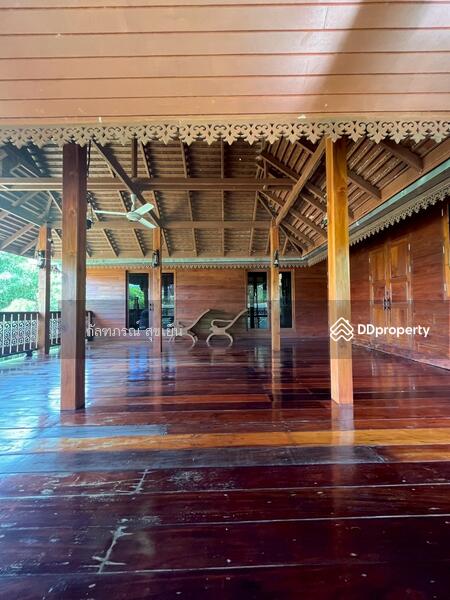 ขาย - ที่ดิน 58-1-60 ไร่ ปลูกไผ่ทอง พร้อมเรือนไม้สัก ต.หนองหญ้าปล้อง อ.หนองหญ้าปล้อง จ.เพชรบุรี, เพชรบุรี
