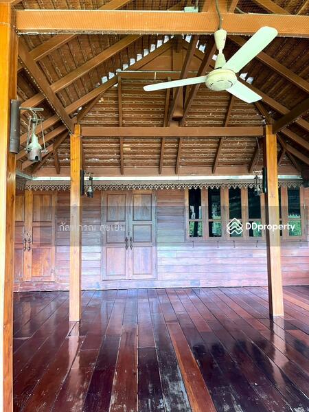 ขาย - ที่ดิน 58-1-60 ไร่ ปลูกไผ่ทอง พร้อมเรือนไม้สัก ต.หนองหญ้าปล้อง อ.หนองหญ้าปล้อง จ.เพชรบุรี, เพชรบุรี