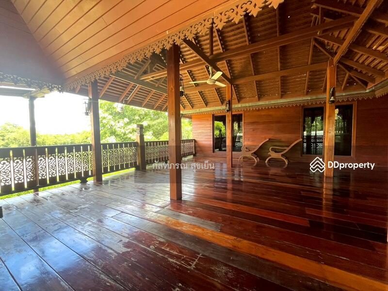 ขาย - ที่ดิน 58-1-60 ไร่ ปลูกไผ่ทอง พร้อมเรือนไม้สัก ต.หนองหญ้าปล้อง อ.หนองหญ้าปล้อง จ.เพชรบุรี, เพชรบุรี