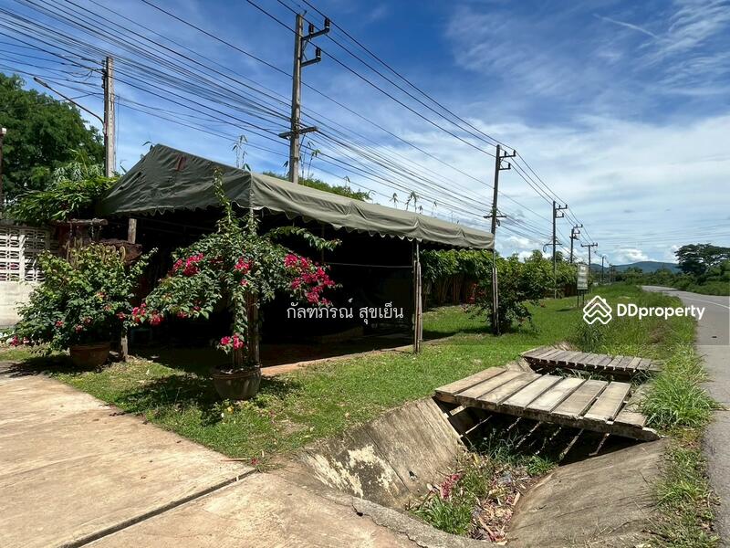 ขาย - ที่ดิน 58-1-60 ไร่ ปลูกไผ่ทอง พร้อมเรือนไม้สัก ต.หนองหญ้าปล้อง อ.หนองหญ้าปล้อง จ.เพชรบุรี, เพชรบุรี