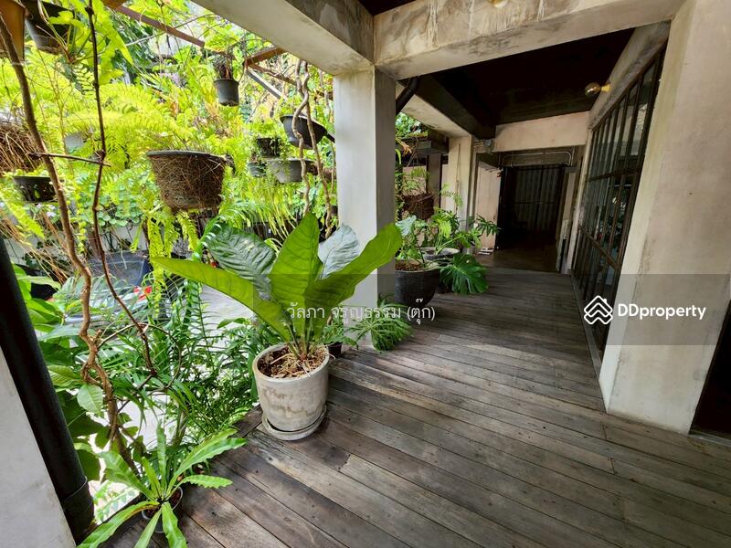 ขาย - ออฟฟิศ 4 ชั้น ทาวน์อินทาวน์ 5 แขวงพลับพลา เขตวังทองหลาง, กรุงเทพ