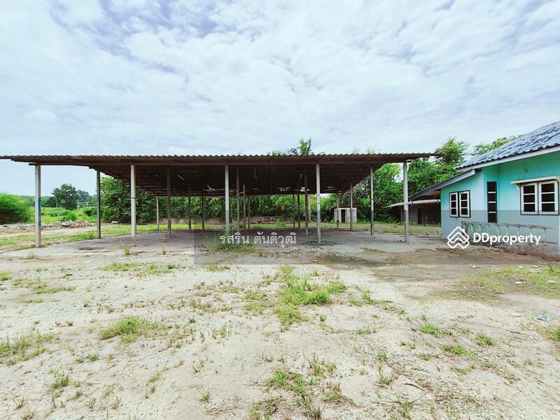 For Sale - ที่ดิน หนองเหียง พนัสนิคม ชลบุรี, Chon Buri