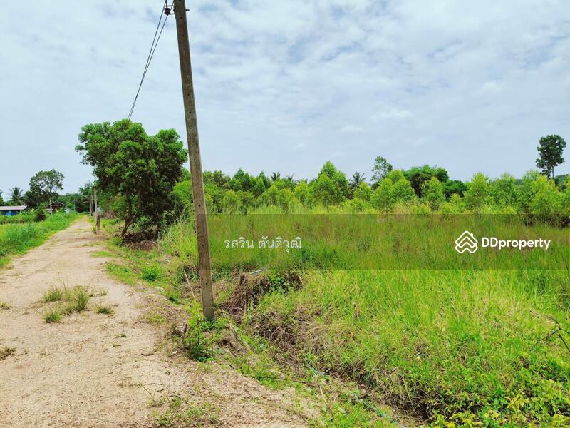 For Sale - ที่ดิน หนองเหียง พนัสนิคม ชลบุรี, Chon Buri