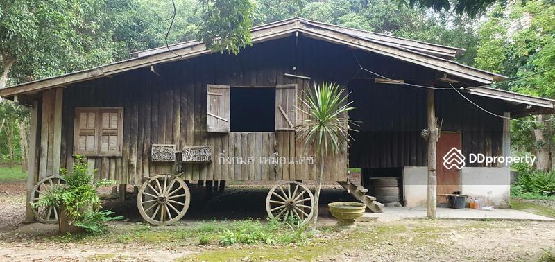 ขาย - 57000, เชียงราย