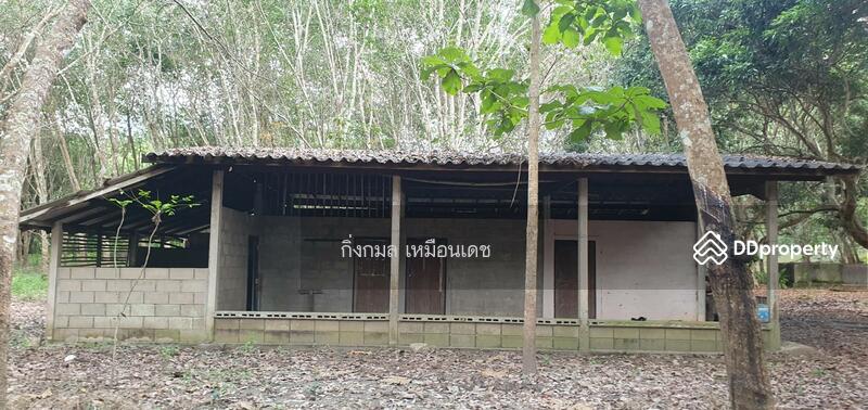 ขาย - 57000, เชียงราย