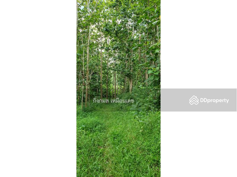 ขาย - 57000, เชียงราย