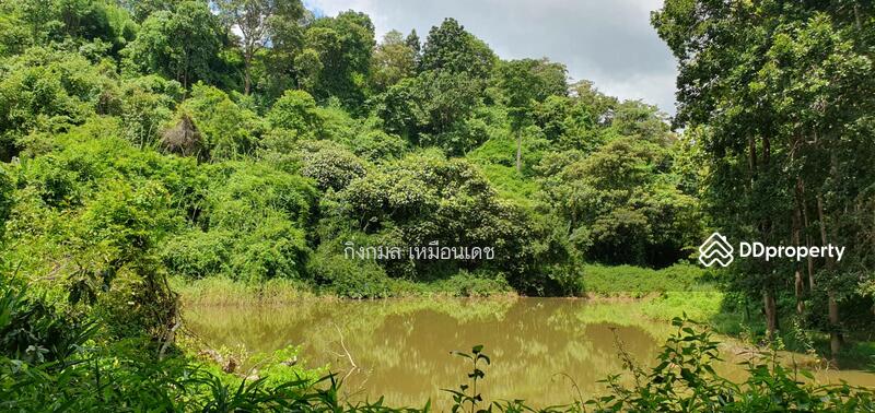 ขาย - 57000, เชียงราย