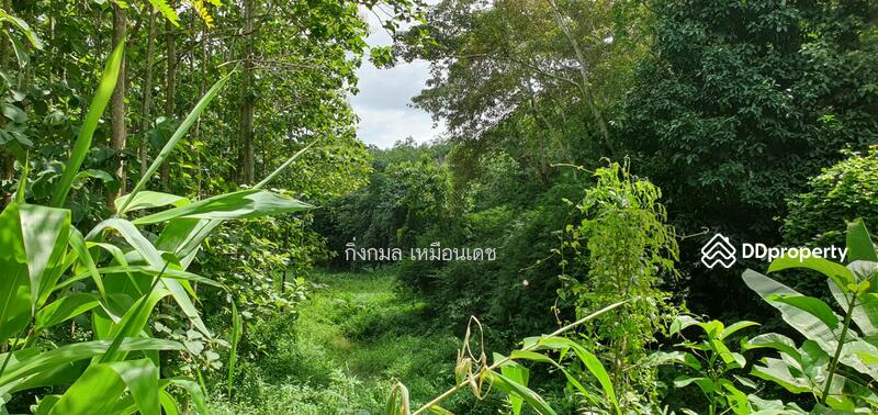 ขาย - 57000, เชียงราย