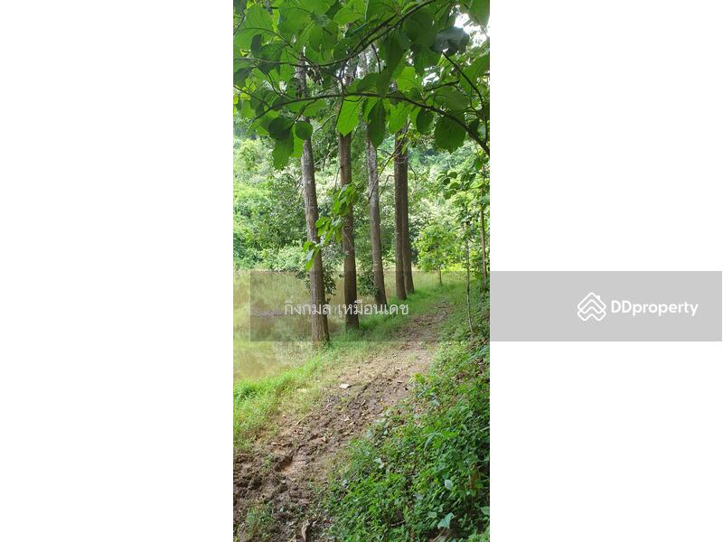 ขาย - 57000, เชียงราย