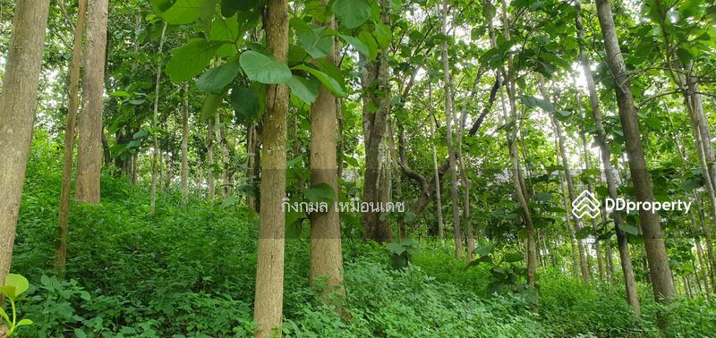 ขาย - 57000, เชียงราย