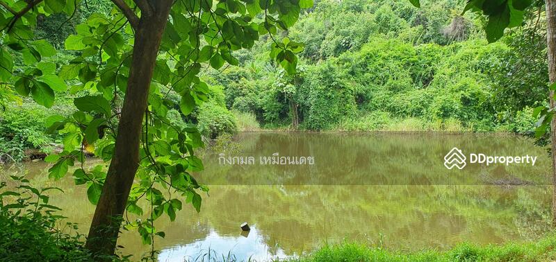 ขาย - ที่ดินแปลงสวย 63 ไร่ 0 งาน 79 ตารางวา อำเภอเมืองเชียงราย ใกล้สิงห์ปาร์ค ไร่บุญรอด, เชียงราย