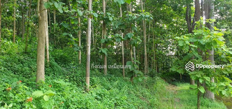 ขาย - 57000, เชียงราย