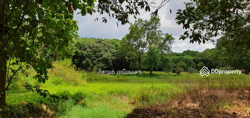 ขาย - 57000, เชียงราย