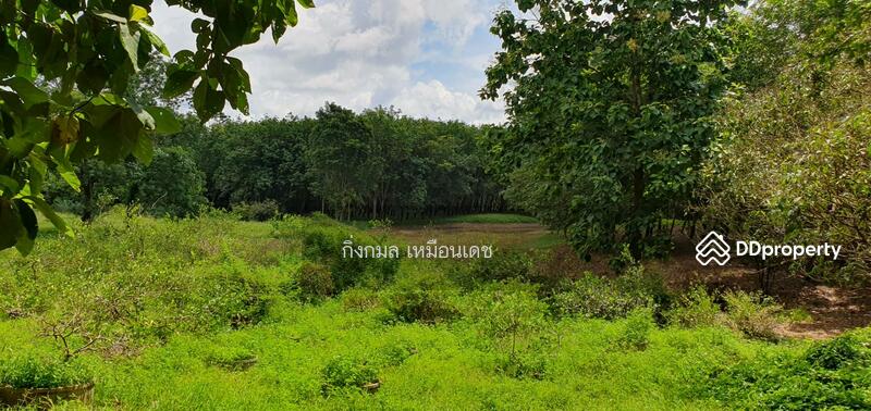 ขาย - 57000, เชียงราย