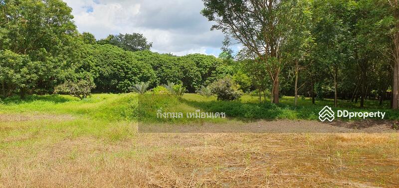 ขาย - 57000, เชียงราย