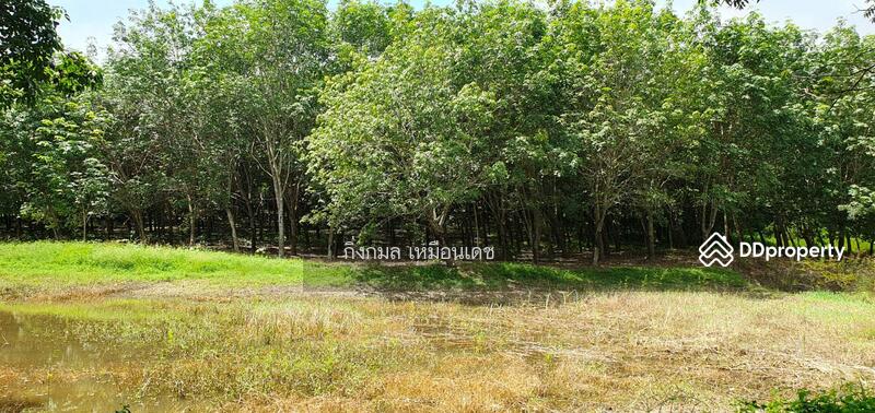ขาย - 57000, เชียงราย