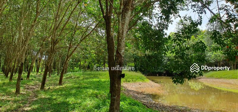 ขาย - 57000, เชียงราย